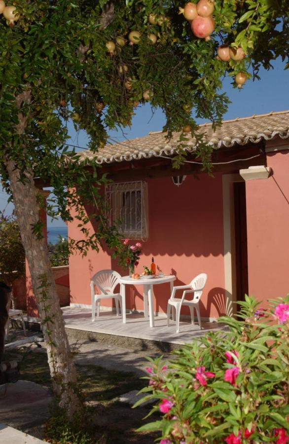 Amalia Cottages آغيوس غوذيوس المظهر الخارجي الصورة